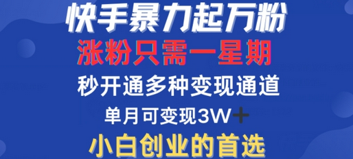 快手暴力起万粉，涨粉只需一星期，多种变现模式，直接秒开万合，单月变现过W-菜菜资源汇-优质互联网资源分享