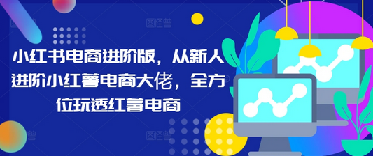 小红书电商进阶版，从新人进阶小红薯电商大佬，全方位玩透红薯电商-菜菜资源汇-优质互联网资源分享