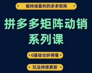 拼多多矩阵动销系列课，能持续盈利的多多矩阵，0基础也听得懂，玩法持续更新-菜菜资源汇-优质互联网资源分享