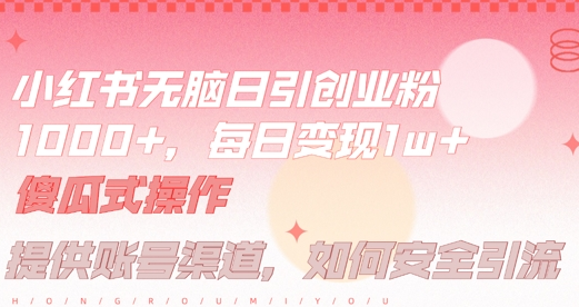 小红书无脑每日引流创业粉500+，小白每天只花半小时，躺赚长尾收益-菜菜资源汇-优质互联网资源分享