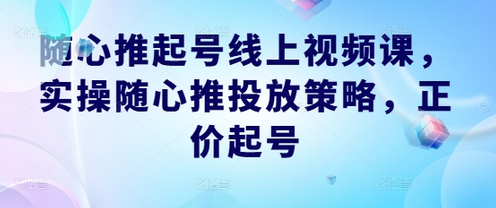 随心推起号线上视频课，实操随心推投放策略，正价起号-菜菜资源汇-优质互联网资源分享