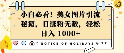 小白必看，美女图片引流秘籍，日涨粉无数，轻松日入几张-菜菜资源汇-优质互联网资源分享