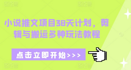 小说推文项目38天计划，剪辑与搬运多种玩法教程-菜菜资源汇-优质互联网资源分享