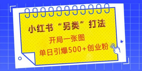 小红书“另类”打法，开局一张图，单日引爆500+精准创业粉-菜菜资源汇-优质互联网资源分享