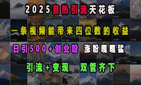 2025自热引流天花板，一条视频能带来四位数的收益，引流+变现双管齐下，日引500+创业粉，涨粉嘎嘎猛-菜菜资源汇-优质互联网资源分享