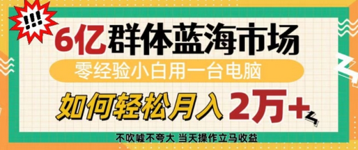 6亿群体蓝海市场，零经验小白用一台电脑，如何轻松月入过w-菜菜资源汇-优质互联网资源分享