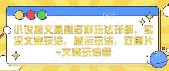 小说推文最新多种玩法详解，实况文案玩法，搬运玩法，双图片+文案玩法等-菜菜资源汇-优质互联网资源分享