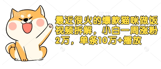 最近很火的爆款猫咪做饭视频拆解，小白一周涨粉2万，单条10万+播放(附保姆级教程)-菜菜资源汇-优质互联网资源分享