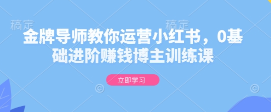 金牌导师教你运营小红书，0基础进阶赚钱博主训练课-菜菜资源汇-优质互联网资源分享