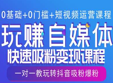 0基础+0门槛+短视频运营课程，玩赚自媒体快速吸粉变现课程，一对一教玩转抖音吸粉爆粉-菜菜资源汇-优质互联网资源分享