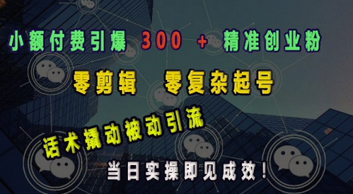 小额付费引爆 300 + 精准创业粉，零剪辑、零复杂起号，话术撬动被动引流，当日实操即见成效-菜菜资源汇-优质互联网资源分享