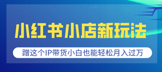 小红书小店新玩法，蹭这个IP带货，小白也能轻松月入过W-菜菜资源汇-优质互联网资源分享
