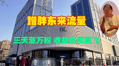 蹭胖东来流量，三天涨万粉，收益直接起飞-菜菜资源汇-优质互联网资源分享