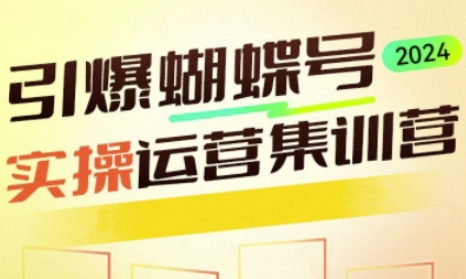 引爆蝴蝶号实操运营，助力你深度掌握蝴蝶号运营，实现高效实操，开启流量变现之路-菜菜资源汇-优质互联网资源分享