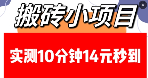 搬砖小项目，实测10分钟14元秒到，每天稳定几张(赠送必看稳定)-菜菜资源汇-优质互联网资源分享
