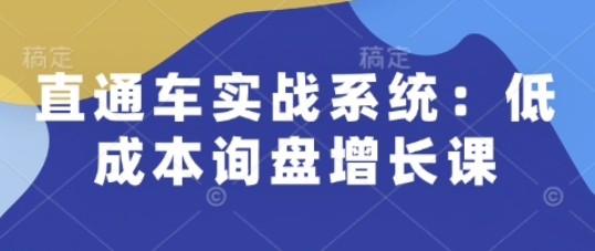 直通车实战系统：低成本询盘增长课，让个人通过技能实现升职加薪，让企业低成本获客，订单源源不断-菜菜资源汇-优质互联网资源分享