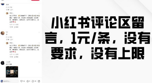 小红书评论区留言，1元条，没有要求，没有上限-菜菜资源汇-优质互联网资源分享