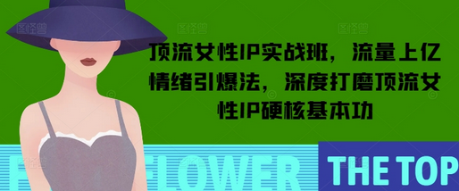顶流女性IP实战班，流量上亿情绪引爆法，深度打磨顶流女性IP硬核基本功-菜菜资源汇-优质互联网资源分享