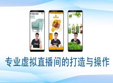 个人虚拟直播间的搭建与操作，专业虚拟直播间的打造与操作-菜菜资源汇-优质互联网资源分享