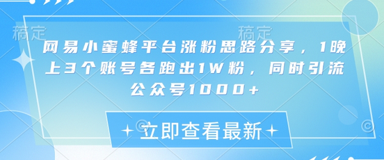 网易小蜜蜂平台涨粉思路分享，1晚上3个账号各跑出1W粉，同时引流公众号1000+-菜菜资源汇-优质互联网资源分享