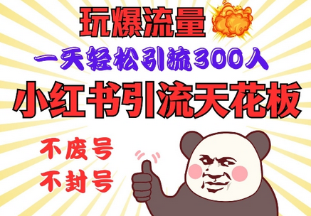 小红书引流天花板，玩爆流量，一天轻松引流300人，安全操作-菜菜资源汇-优质互联网资源分享
