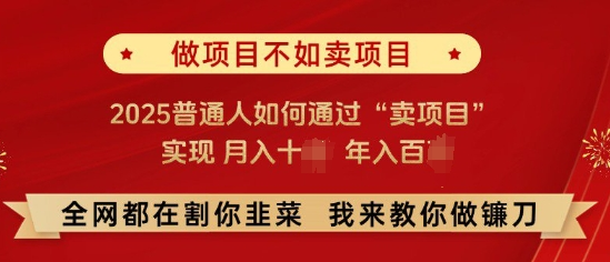 必看，做项目不如卖项目，2025普通人如何通过“卖项目”实现月入十个，年入百个-菜菜资源汇-优质互联网资源分享