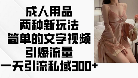 成人用品两种新玩法，简单的文字视频引爆流量，一天引流私域300+-菜菜资源汇-优质互联网资源分享