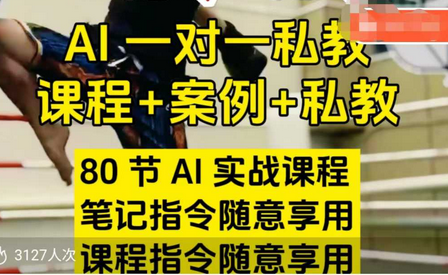 AI指令实战课，课程+案例，80节AI实战课程，笔记指令随意享用，课程指令随意享用-菜菜资源汇-优质互联网资源分享