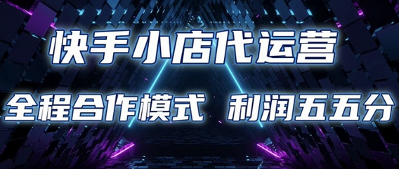 快手小店代运营 限时托管计划 合作模式 利润五五分成-菜菜资源汇-优质互联网资源分享