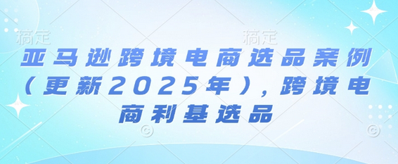亚马逊跨境电商选品案例(更新2025年2月)，跨境电商利基选品-菜菜资源汇-优质互联网资源分享