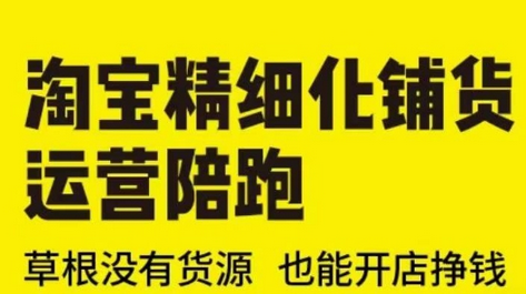 淘宝精细化铺货运营陪跑(部分更新至2025)，草根没有货源 也能开店挣钱-菜菜资源汇-优质互联网资源分享