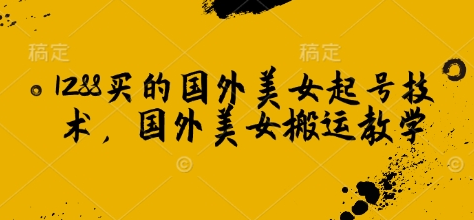 1288买的国外美女起号技术，国外美女搬运教学-菜菜资源汇-优质互联网资源分享