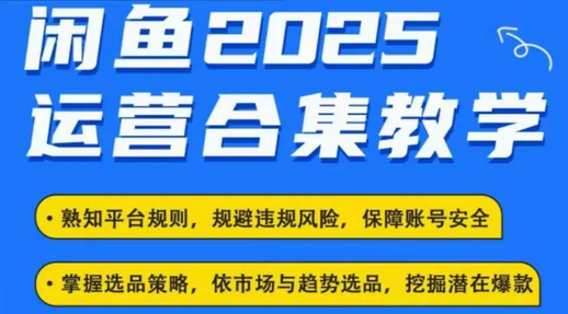 2025闲鱼电商运营全集，2025最新咸鱼玩法-菜菜资源汇-优质互联网资源分享