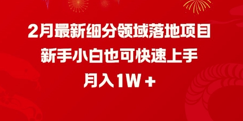 2月最新细分领域落地项目，新手小白也可快速上手，月入1W-菜菜资源汇-优质互联网资源分享