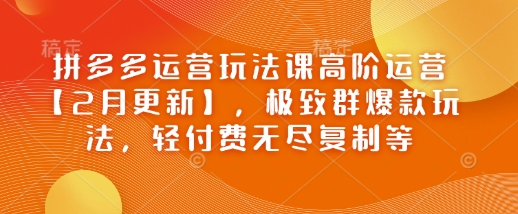拼多多运营玩法课高阶运营【2月更新】，极致群爆款玩法，轻付费无尽复制等-菜菜资源汇-优质互联网资源分享