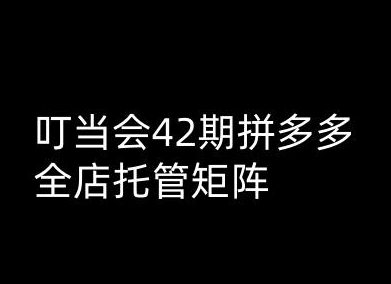 叮当会拼多多打爆班原创高阶技术第42期，拼多多全店托管矩阵-菜菜资源汇-优质互联网资源分享