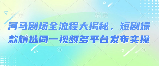河马剧场全流程大揭秘，短剧爆款精选同一视频多平台发布实操-菜菜资源汇-优质互联网资源分享
