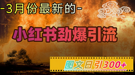 小红书超劲爆引流手段，图文日引300+轻松变现1W-菜菜资源汇-优质互联网资源分享