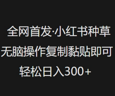 全网首发，小红书种草无脑操作，复制黏贴即可，轻松日入3张-菜菜资源汇-优质互联网资源分享