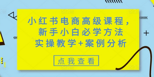小红书电商高级课程，新手小白必学方法，实操教学+案例分析-菜菜资源汇-优质互联网资源分享