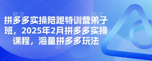 拼多多实操陪跑特训营弟子班，2025年2月拼多多实操课程，海量拼多多玩法-菜菜资源汇-优质互联网资源分享