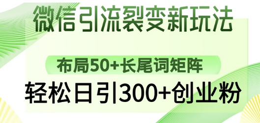 微信引流裂变新玩法：布局50+长尾词矩阵，轻松日引300+创业粉-菜菜资源汇-优质互联网资源分享