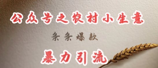 deepseek写农村小项目，条条爆款，暴力引流-菜菜资源汇-优质互联网资源分享