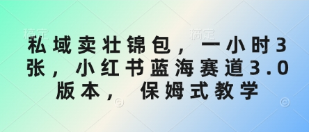 私域卖壮锦包，一小时3张，小红书蓝海赛道3.0版本， 保姆式教学-菜菜资源汇-优质互联网资源分享