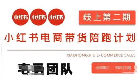 小红书电商带货课2期，月利润20个的小红书电商的有货源，无货源，虚拟产品，付费投流等整套玩法-菜菜资源汇-优质互联网资源分享