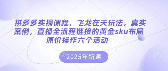 拼多多实操课程，飞龙在天玩法，真实案例，直播全流程链接的黄金sku布局原价操作六个活动-菜菜资源汇-优质互联网资源分享