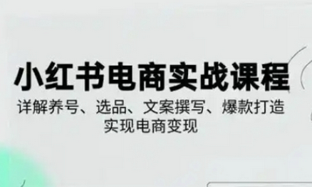 小红书从0-1实操课(2023-2025)，详解养号、选品、文案撰写、爆款打造实现电商变现-菜菜资源汇-优质互联网资源分享