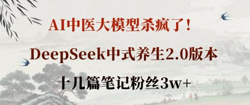 AI中医大模型杀疯了！DeepSeek中式养生2.0版本，十几篇笔记粉丝3w+-菜菜资源汇-优质互联网资源分享