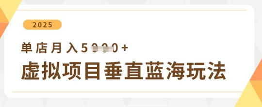 虚拟项目垂直玩法，实现单店月入5k+-菜菜资源汇-优质互联网资源分享