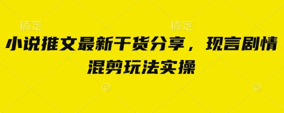 小说推文最新干货分享，现言剧情混剪玩法实操-菜菜资源汇-优质互联网资源分享